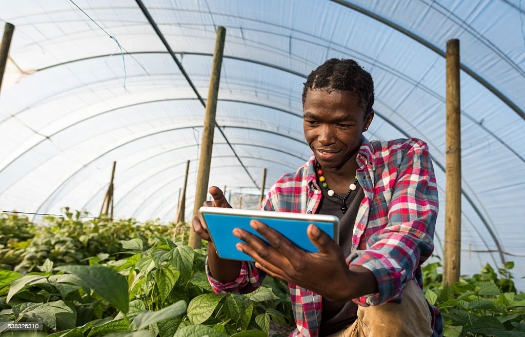 Agricultural Development