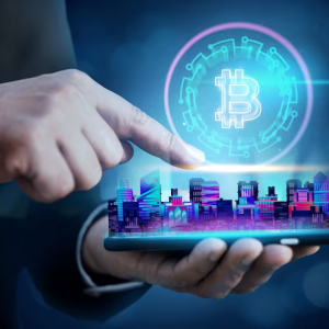 How Have Digital Currencies Worked Around the World?
